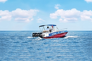 Sea
